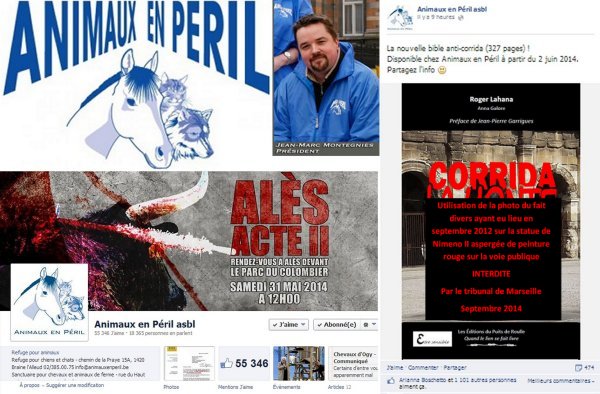 Animaux en péril Corrida la honte