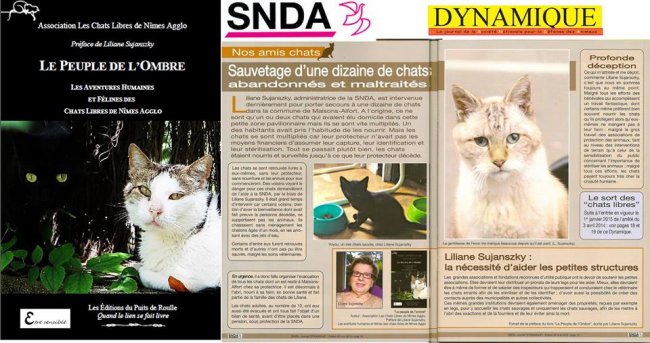 Chats libres Nîmes SNDA