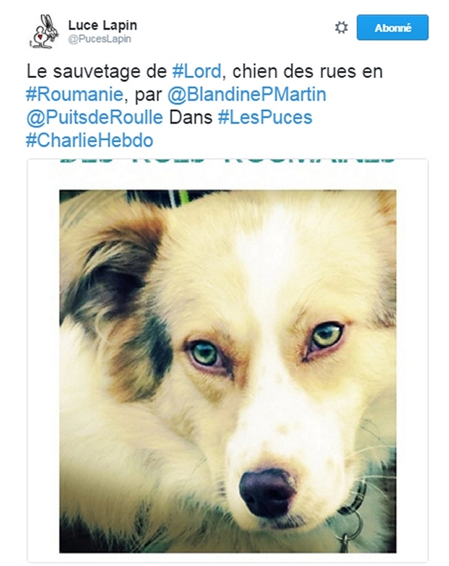 Lord Charlie Hebdo