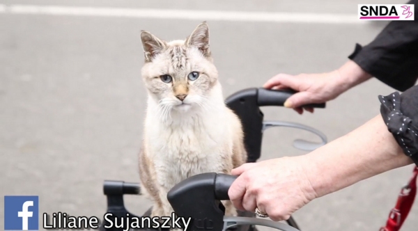 Liliane Sujanszky chats 45 ans de protection animale Stéphanie Lahana