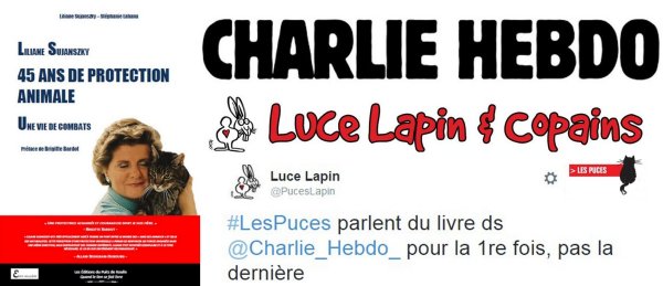 puces de luce Liliane Sujanszky Stéphanie Lahana