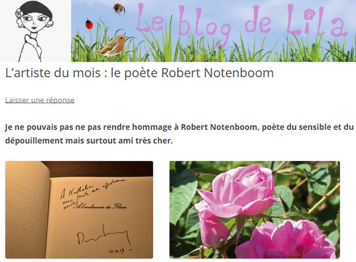 Robert Notenboom