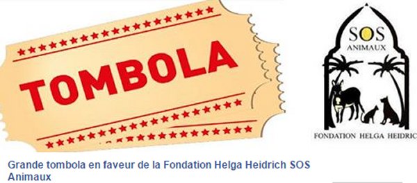 Fondation Helga Heidrich Editions du Puits de Roulle Lahana