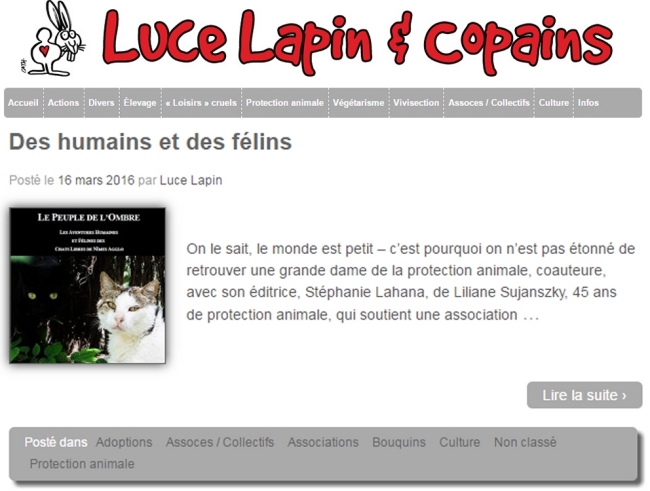 Luce Lapin et copain Chats Libres