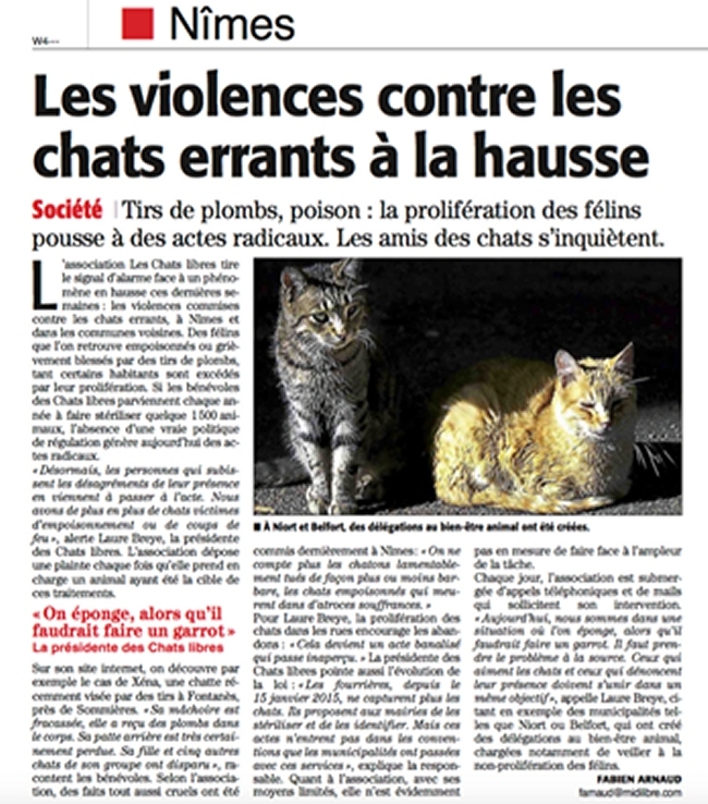 Chats Libres Nîmes Midi Libre 2016 06